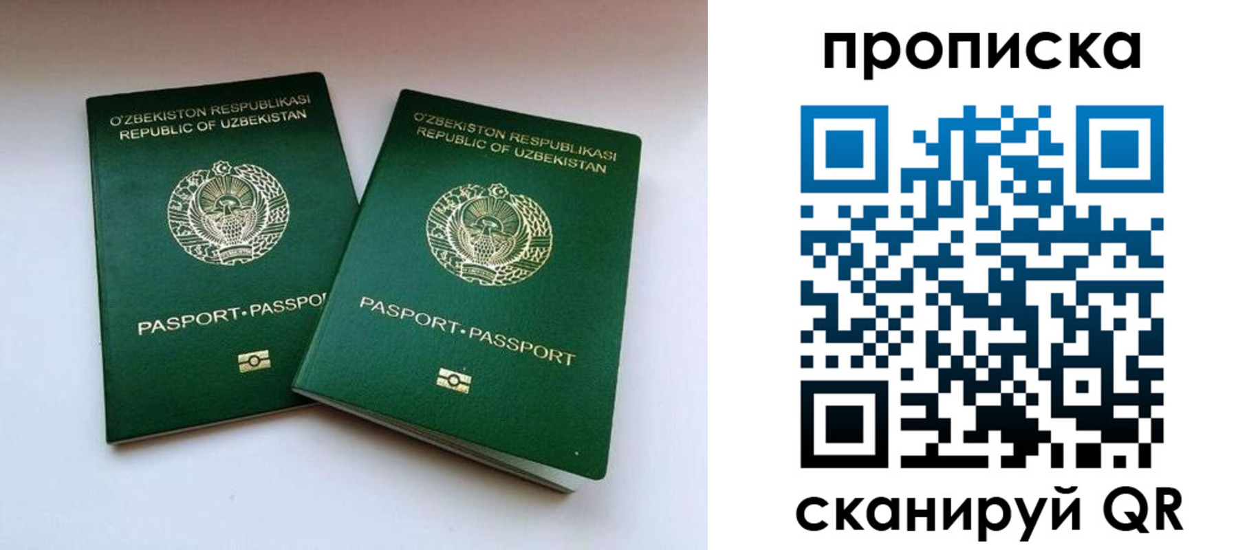 прописка поиск в Ивантеевке